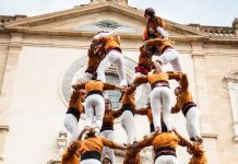 Els Sagals i Xics estrenen la gamma mitjana de 8